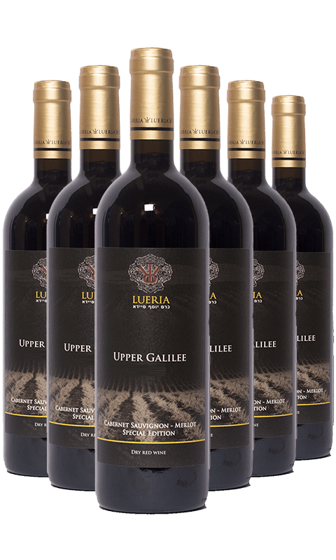 שישיית לוריא ספיישל אדישיין אדום